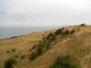 Vodrup Klint