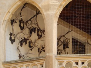 Hunting Trophies