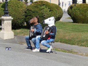Accordion Playing Horses
