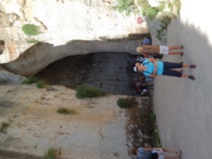 Ear of Dionysus