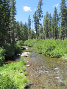 Trolls View of Feather River