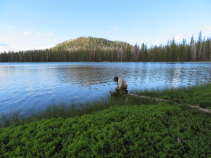 Filtering at Lower Twin Lake
